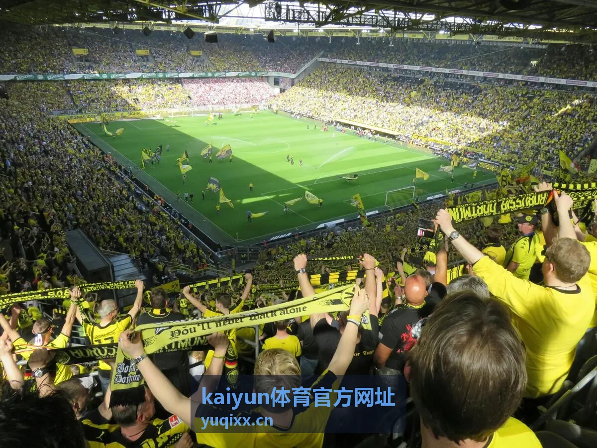 kaiyun体育官方网址入口核对与栏目查找流程示意